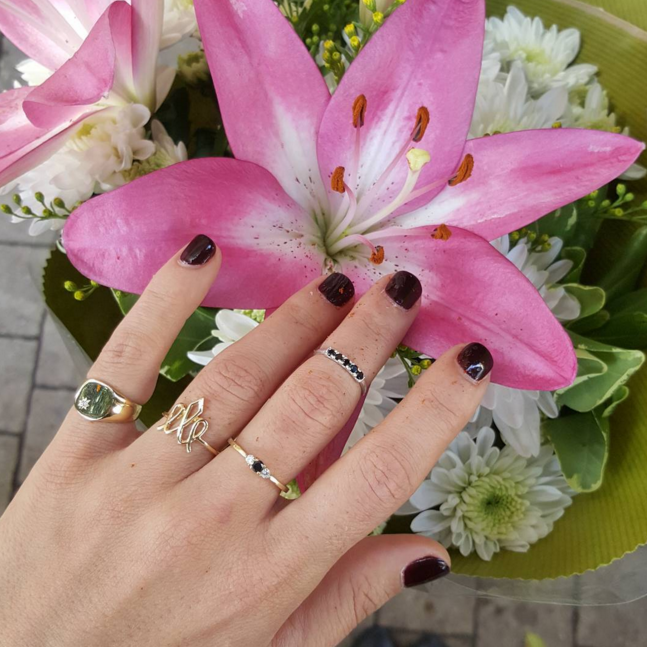 This Week's Favorites!