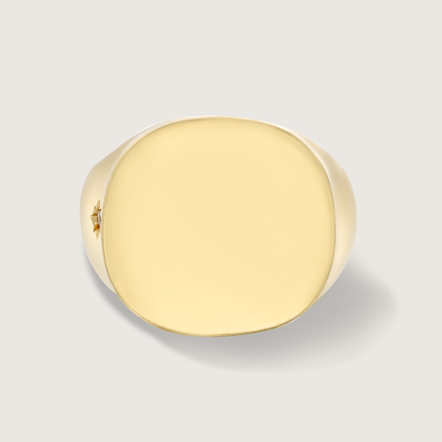 Mila Gold Ring Side Star Setting