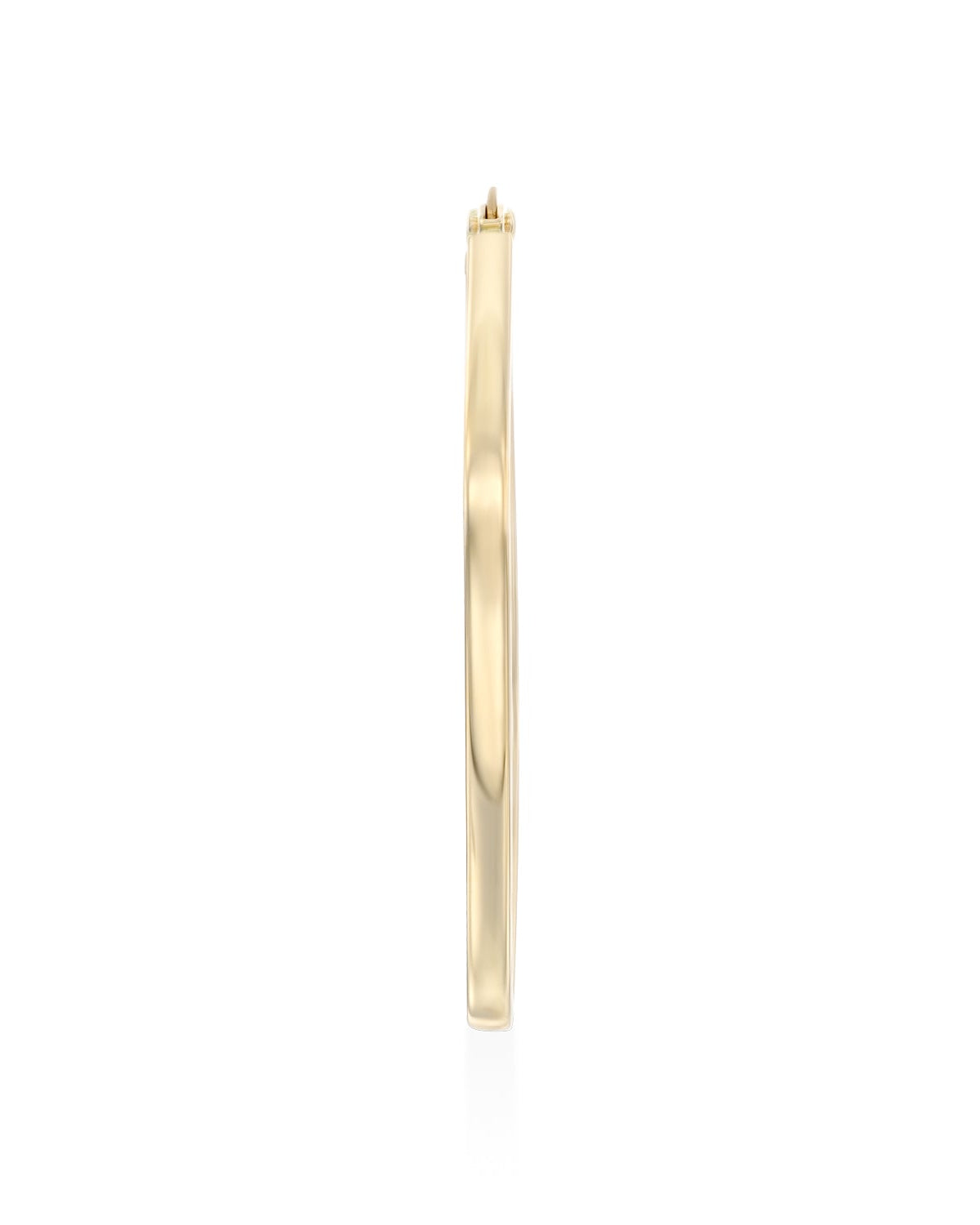 Hilary Gold Hoop Earring