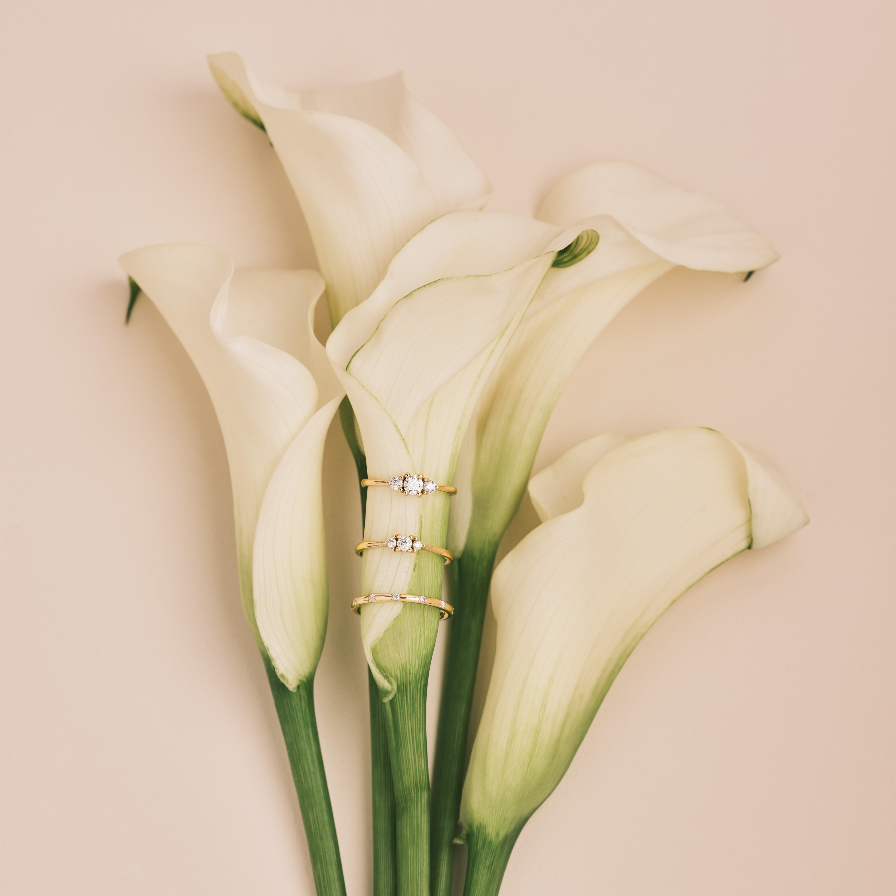 Audrey Gold Ring 4.5mm Diamond