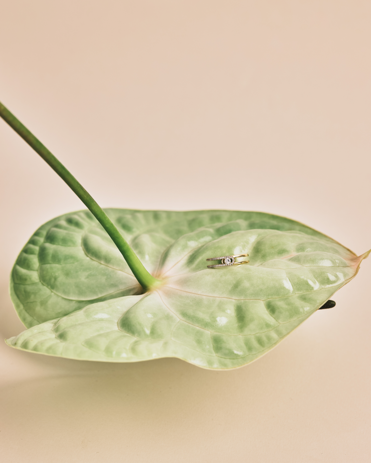 Ring 06 - White Diamonds