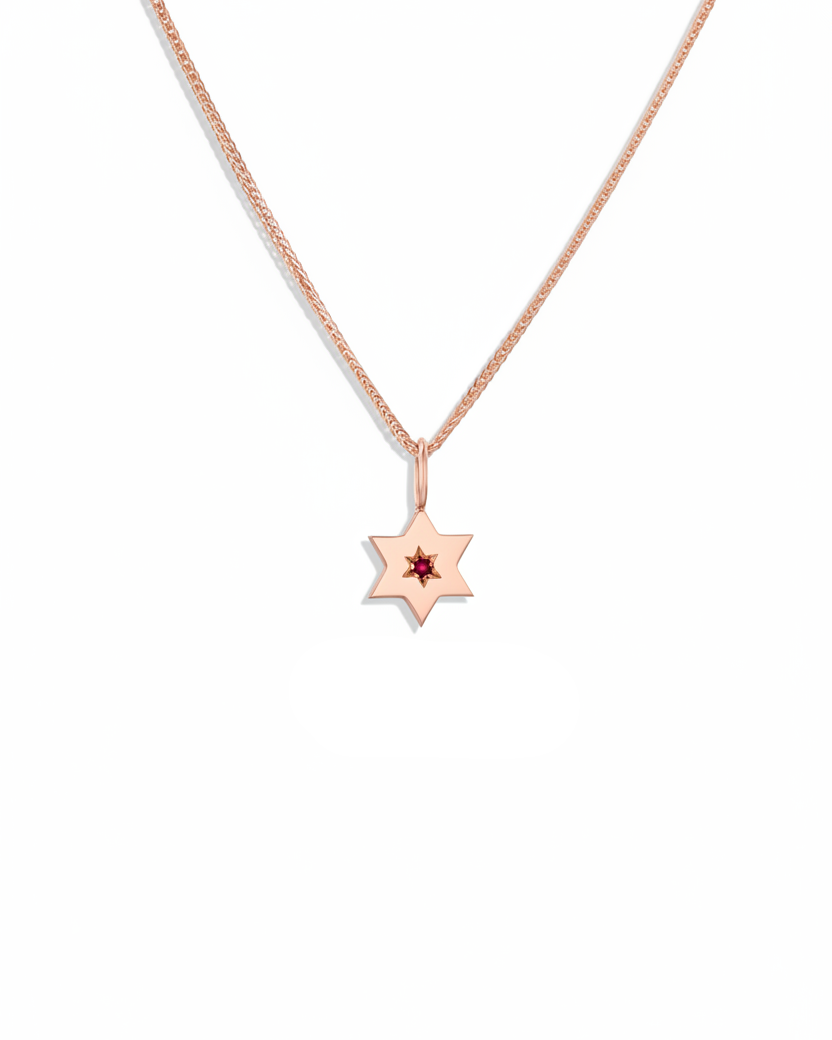 The gaza envelope shield star of david gold pendant ruby