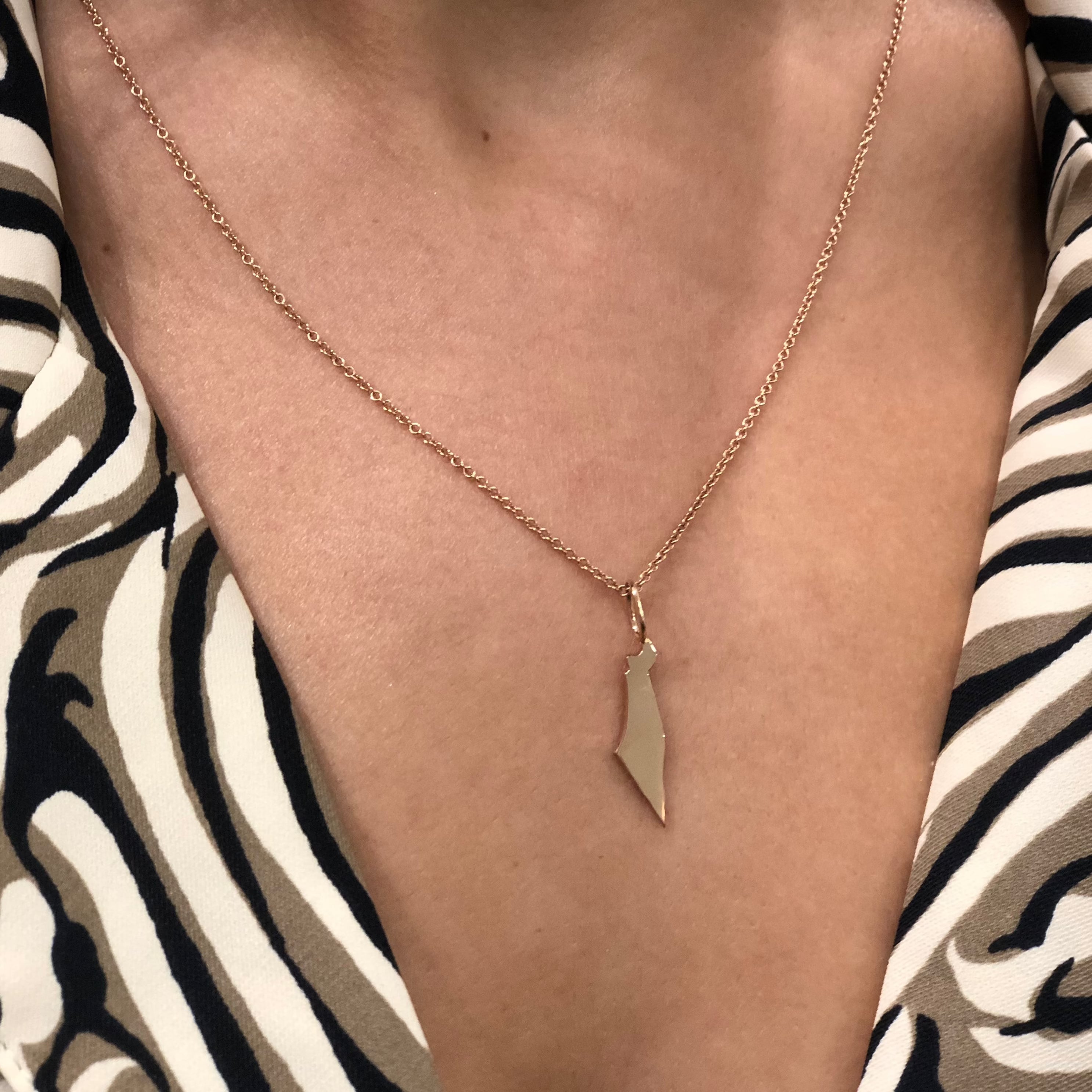 Israel map Gold pendant