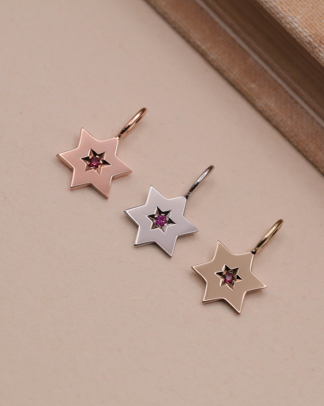 The gaza envelope shield star of david gold pendant ruby