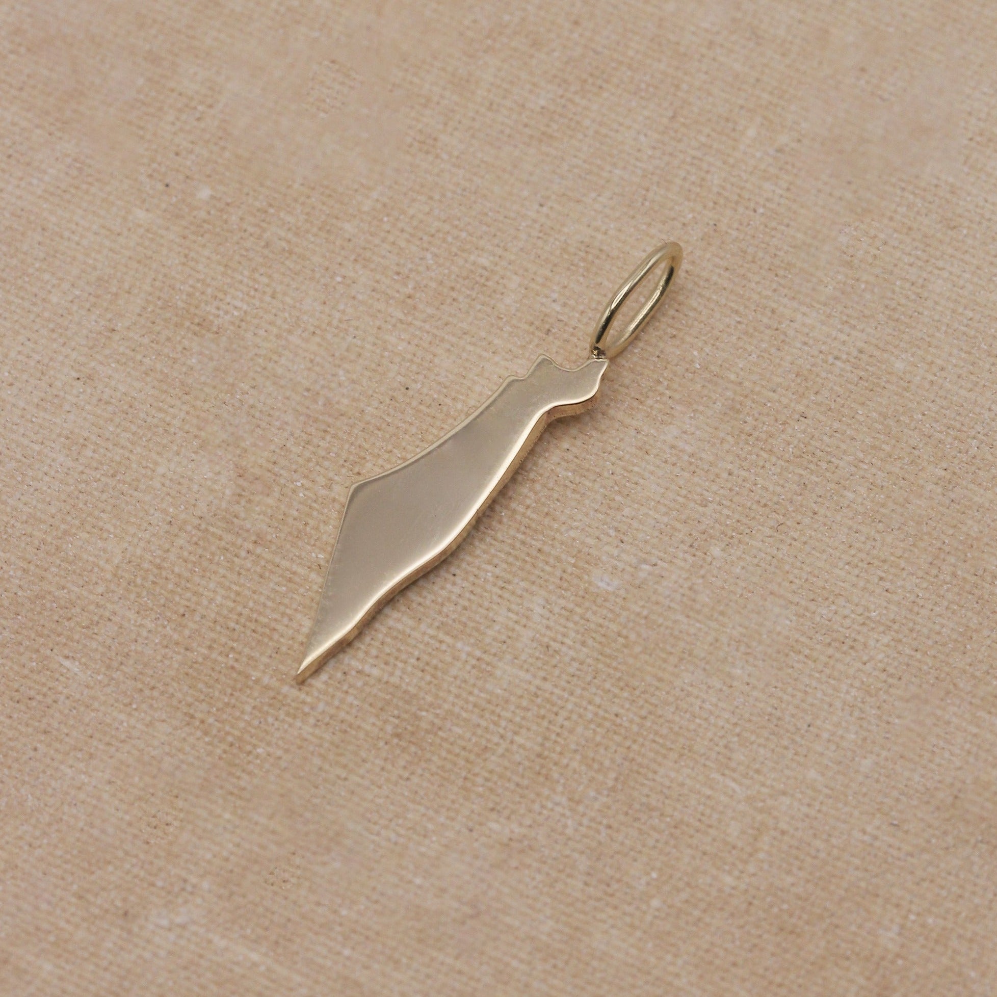 Israel map Gold pendant