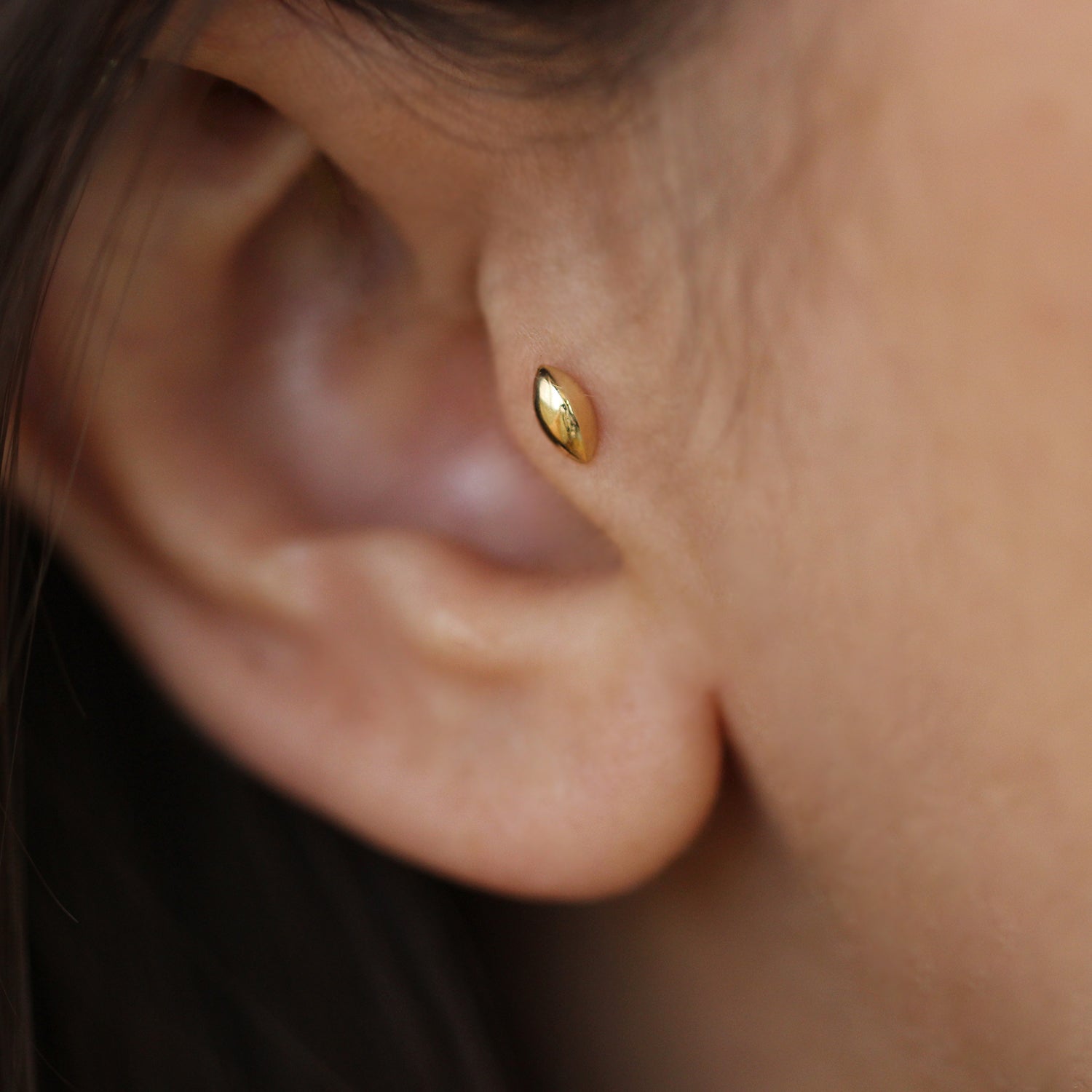 Holly Piercing Earring