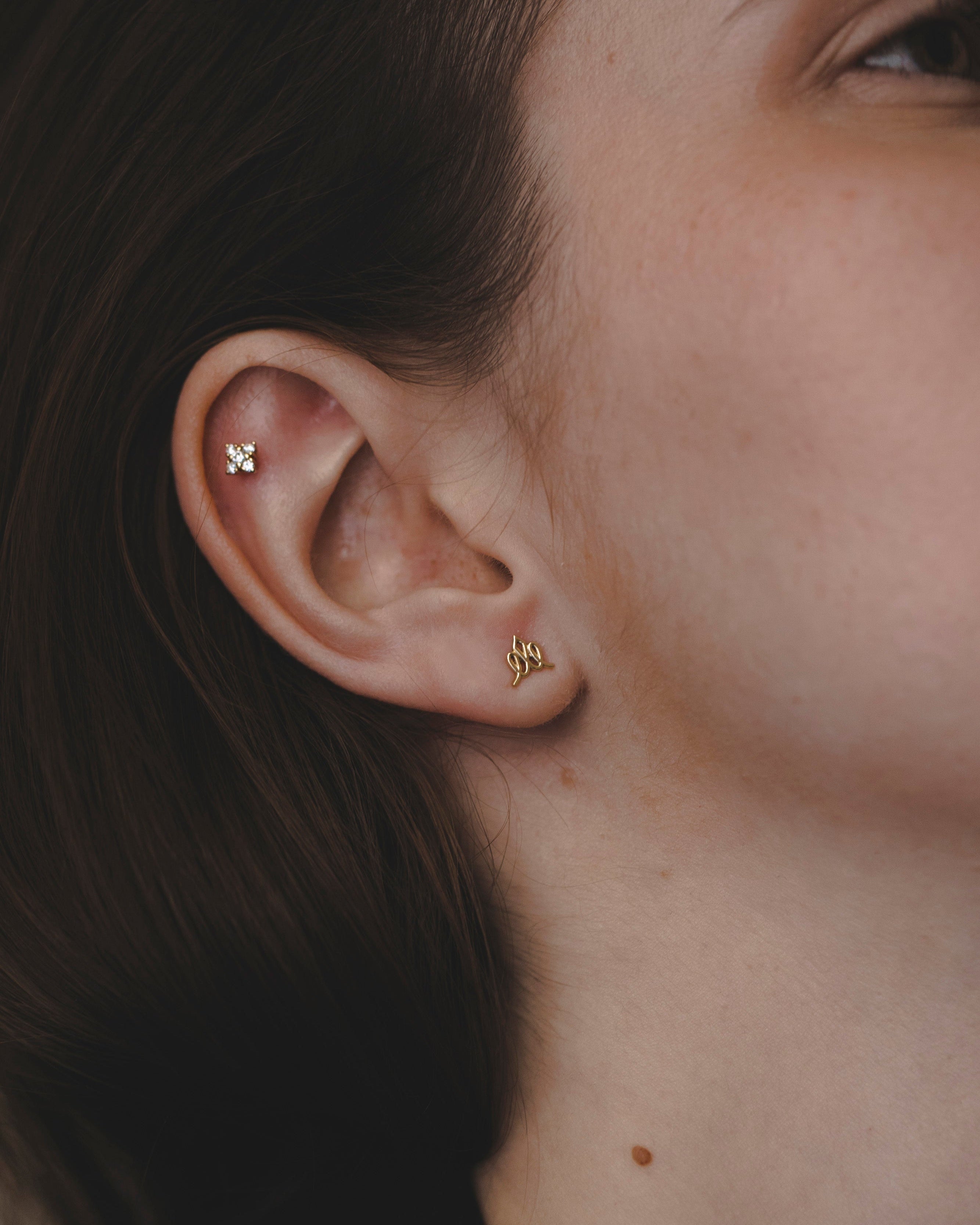 Small Crown Earring