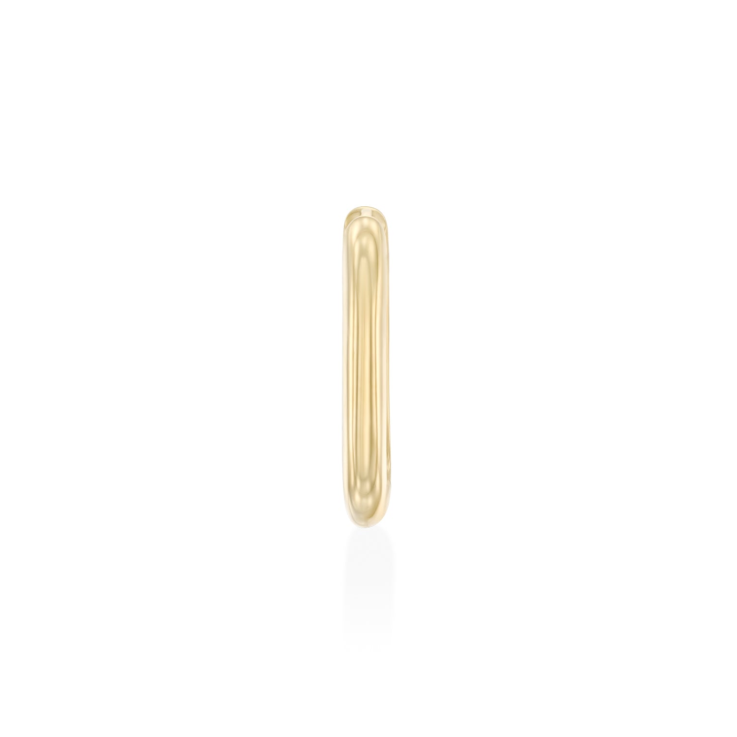 Ann gold hoop earring