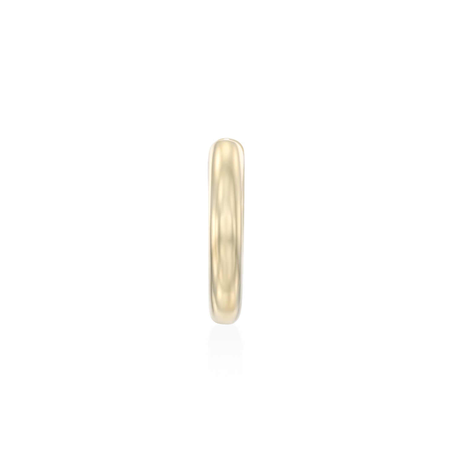 Liza Gold Hoop Earring