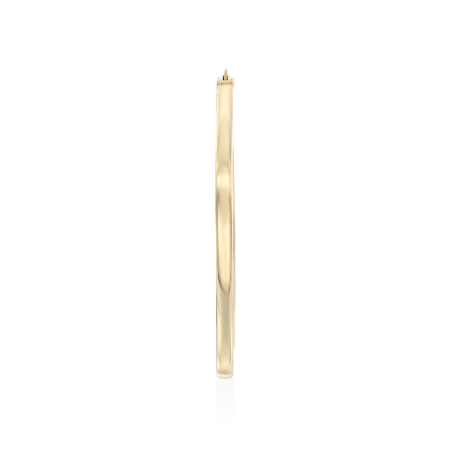 Hilary Gold Hoop Earring