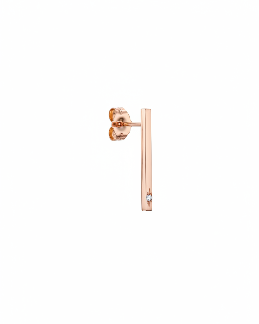 Long Bar Earring Star Setting