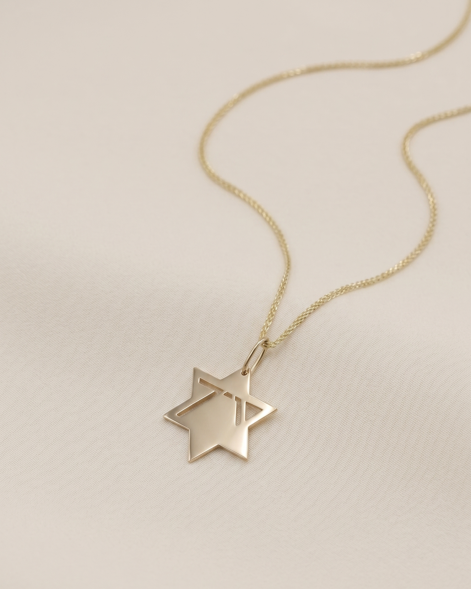 Heroism Star Of David Gold pendant