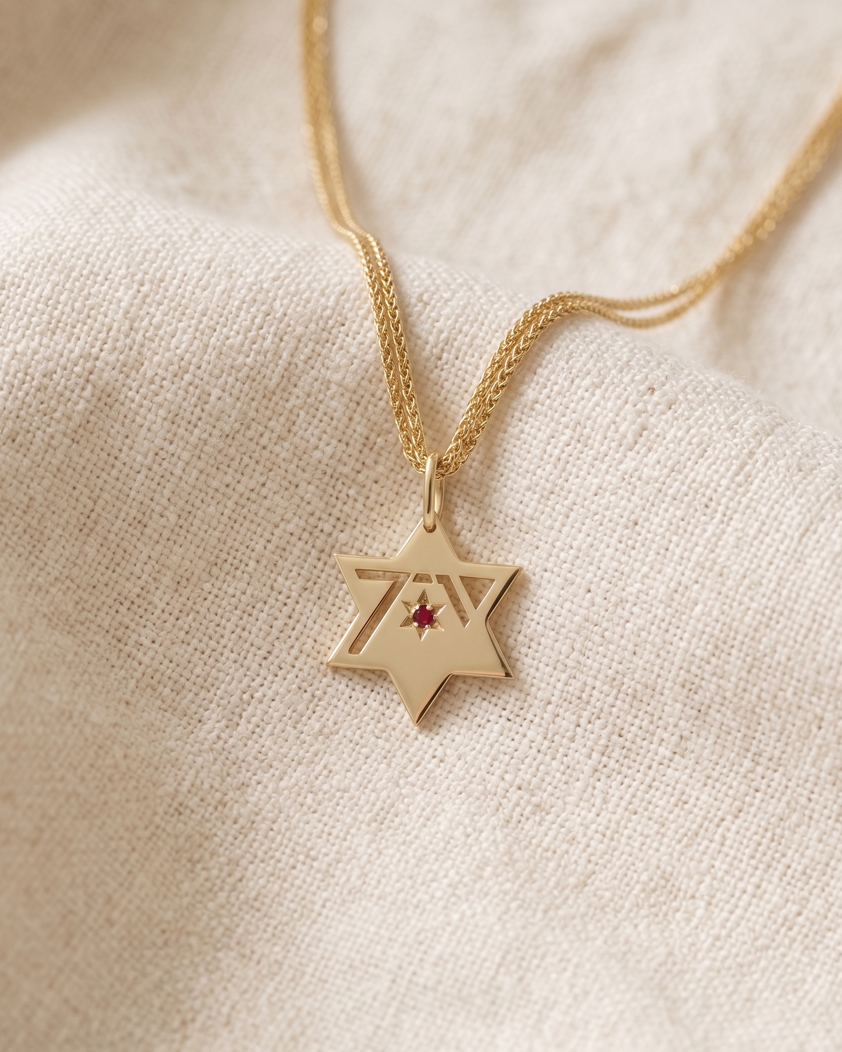 Heroism Star Of David Gold Pendant With Ruby