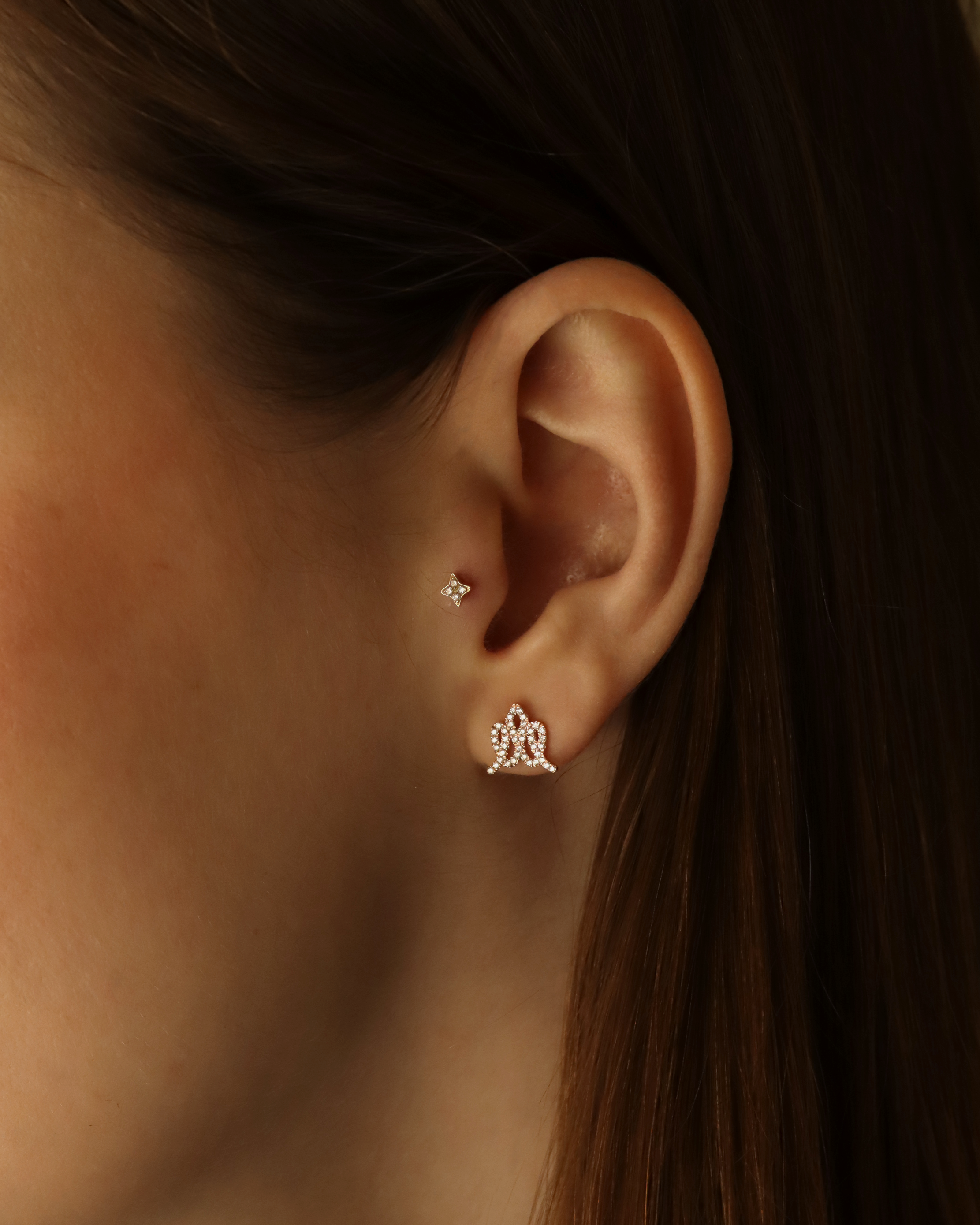 Crown Gold Earring with Diamonds