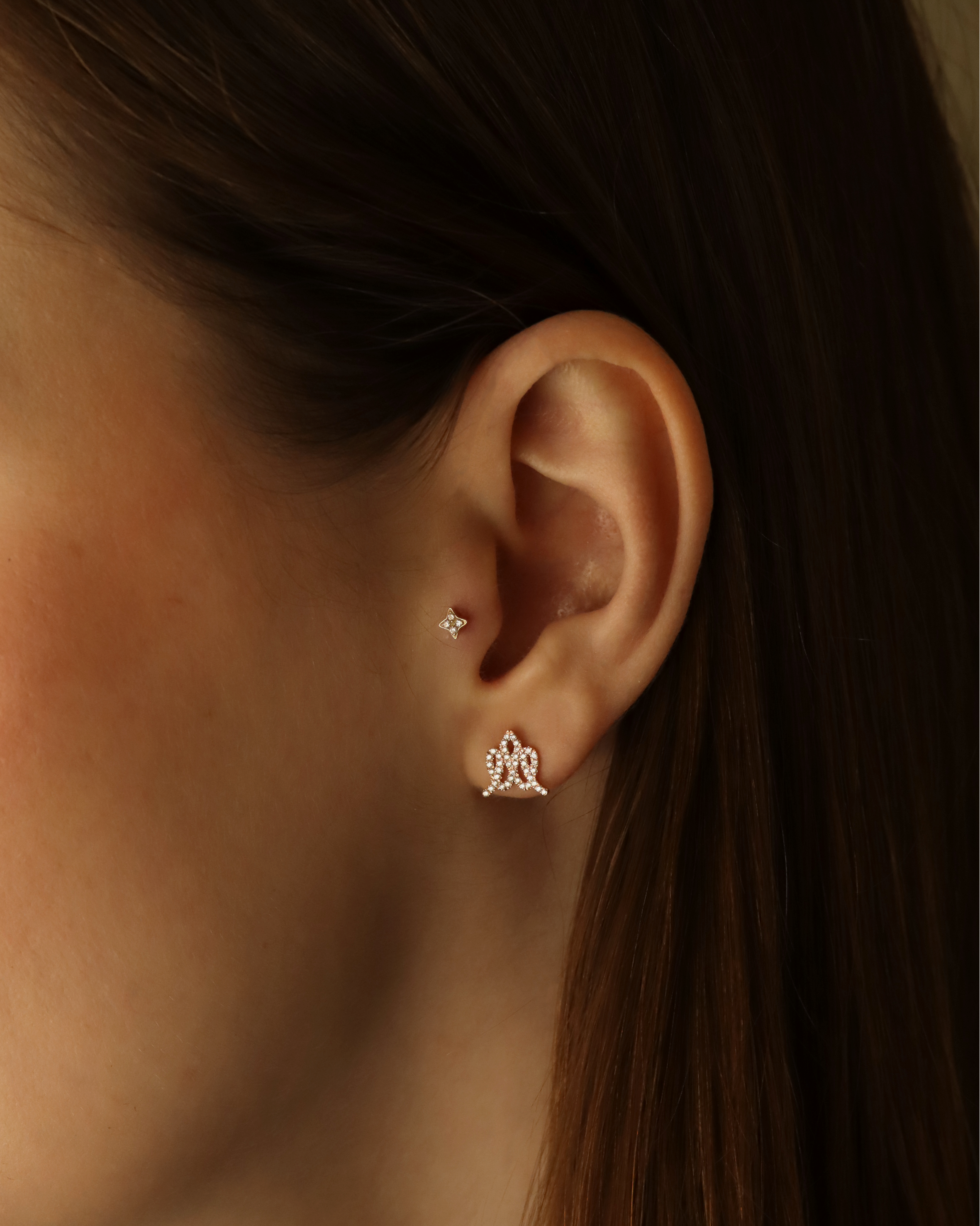 Crown Gold Earring with Diamonds