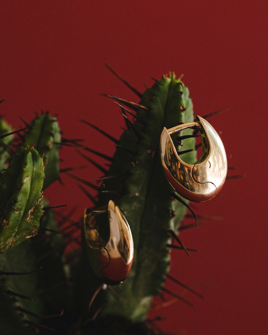 Annie gold hoop earrings