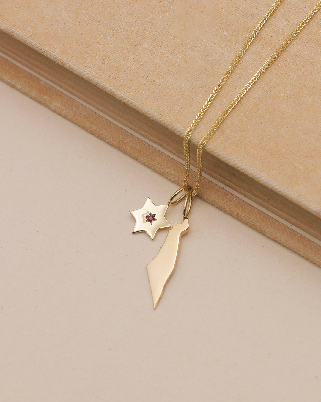 The gaza envelope shield star of david gold pendant ruby