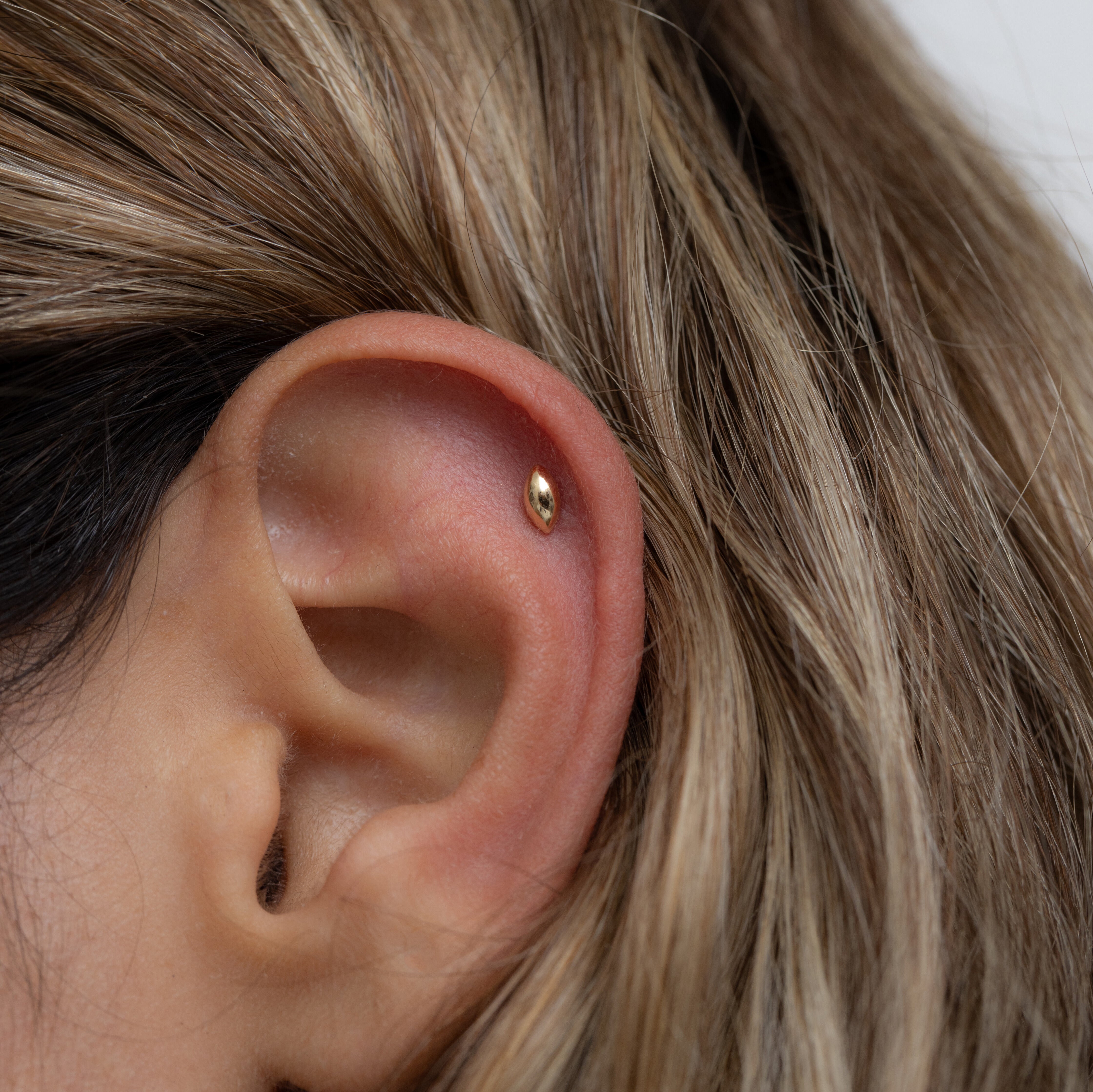 Holly Piercing Earring
