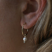 Hoop+ Scarlett Gold Earring